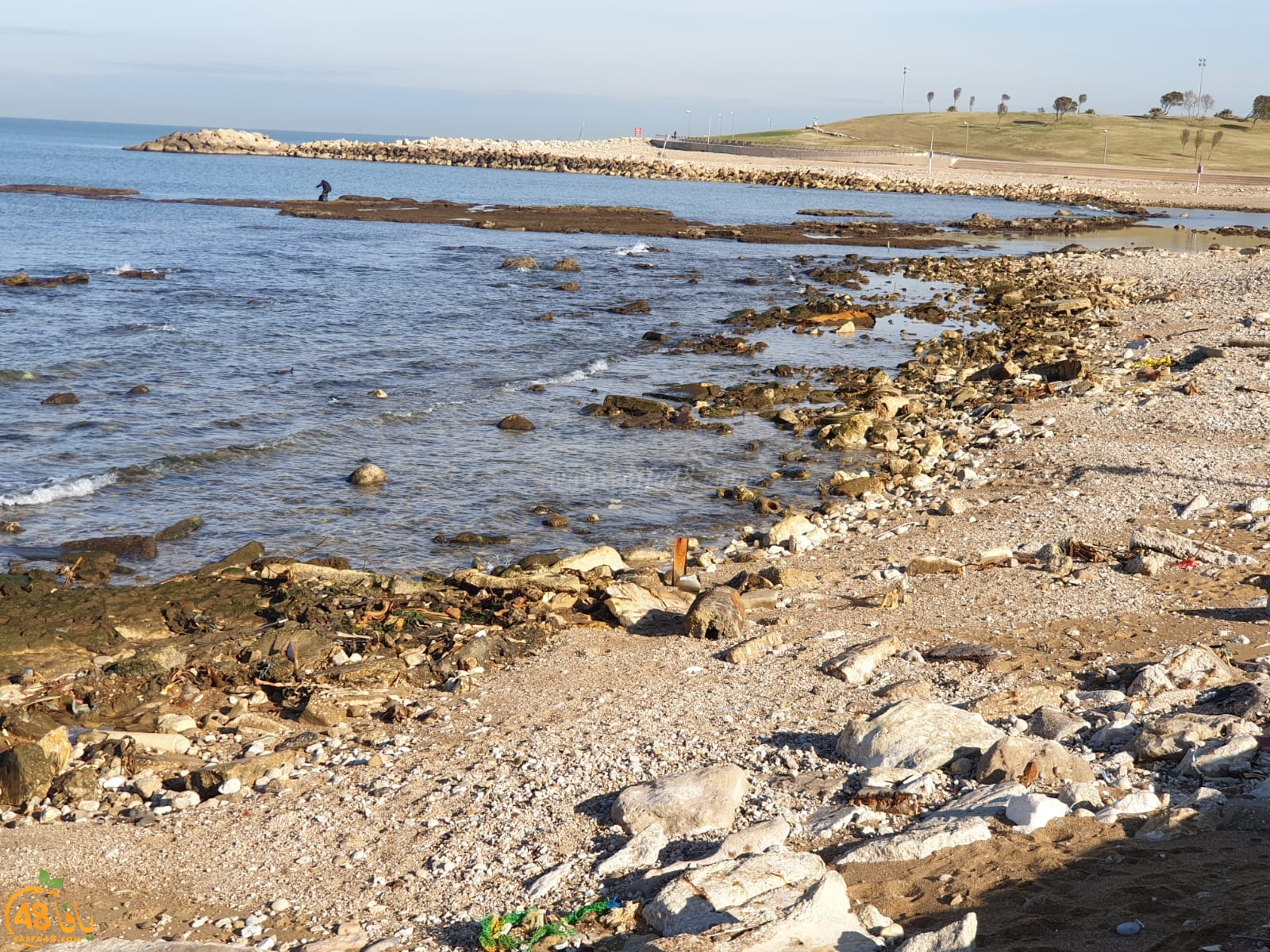  فيديو: تراجع في مستوى مياه البحر على شاطئ العجمي يافا